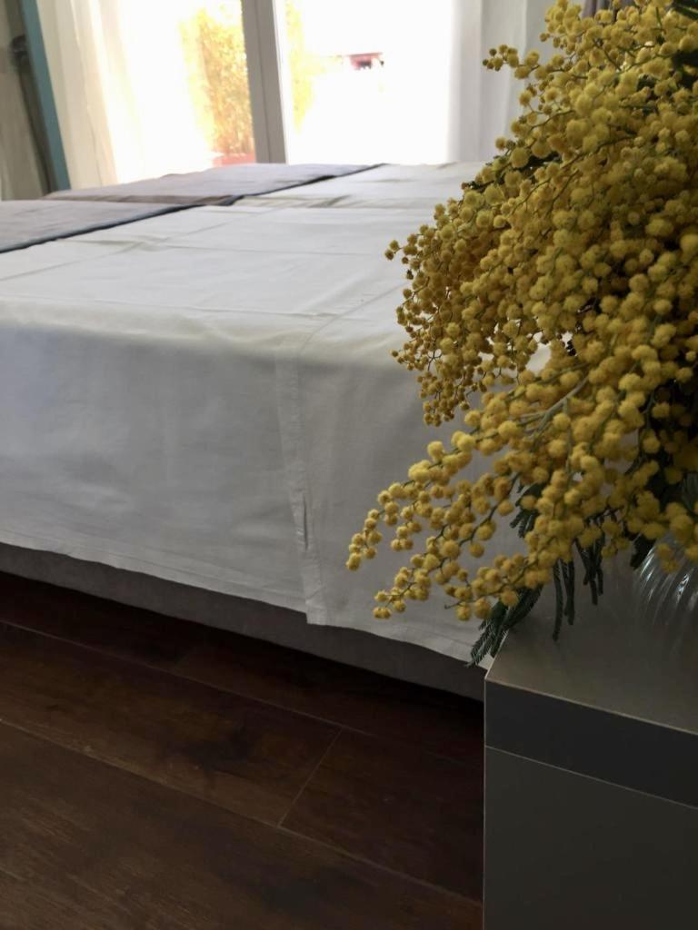 Amberyellowbnb Shkodra Exterior foto